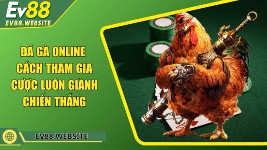 Đá gà online - Cách tham gia cược luôn giành chiến thắng