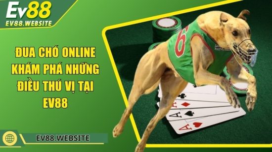 Đua chó online - Khám phá những điều thú vị tại EV88