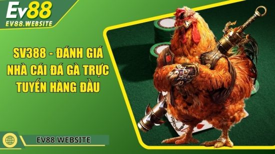 SV388 - Đánh giá nhà cái đá gà trực tuyến hàng đầu